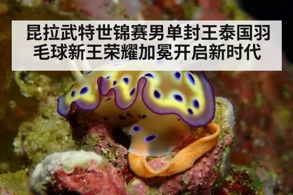 昆拉武特世锦赛男单封王泰国羽毛球新王荣耀加冕开启新时代